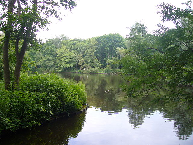 Meer en Bos het meer