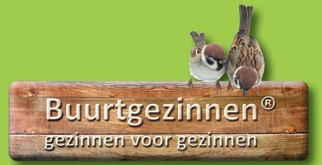 Buurtgezinnen
